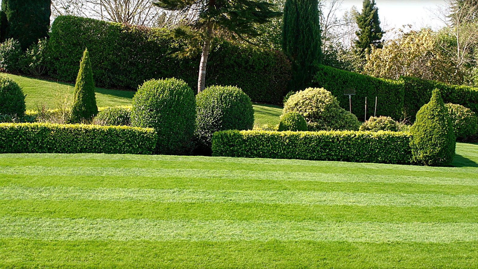 Gartenpflege – Referenzbild